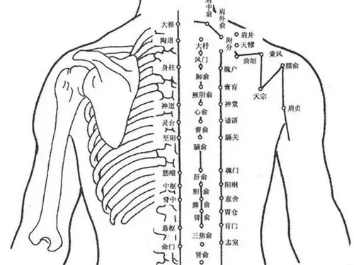 疏通经络从肩颈开始!