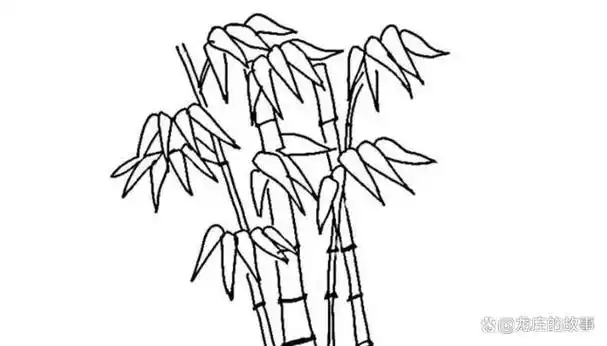 竹子简笔画好看又简单
