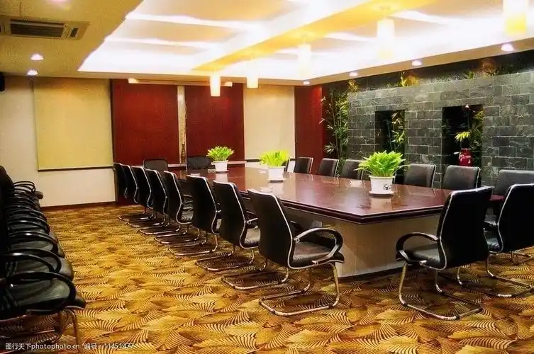 小会议室 小会议室 长会议桌 装饰 装修 地毯 吊顶 装饰墙 室内摄影