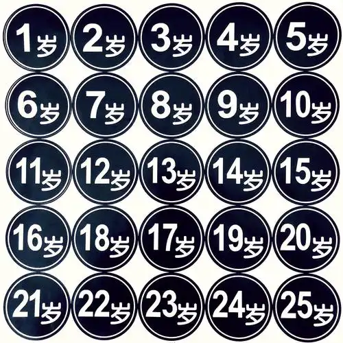 生日牌生日数字年纪龄岁数号码牌字贴标签1到18岁生日贴纸礼物贴_双氙