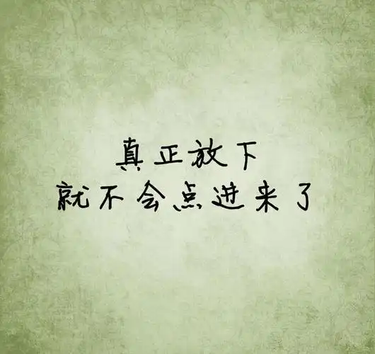 如果你真正放下,就不会点进来了.