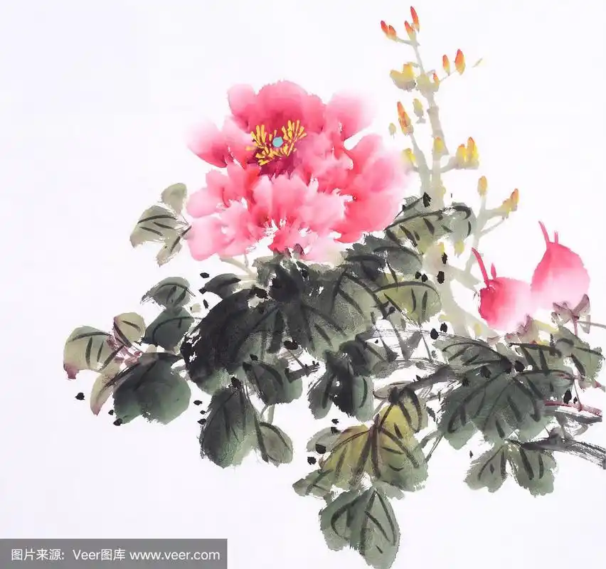 牡丹,中国传统水墨画.