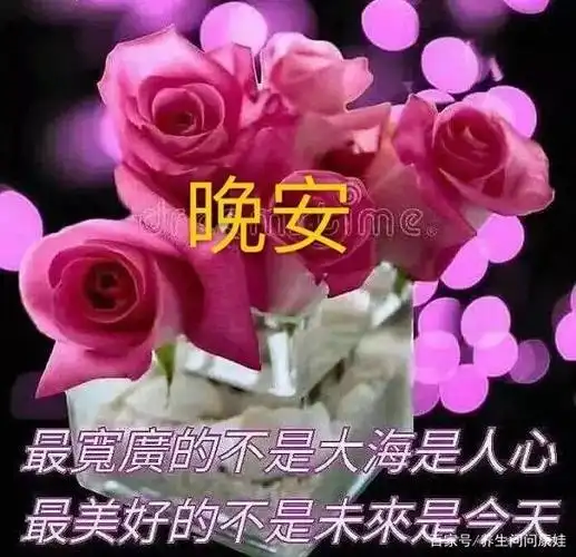 2021正月廿三睡前最暖心的晚安问候送给爱人,祝你们晚安好梦