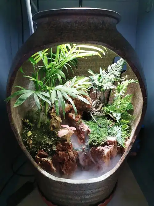 金晶鱼缸玻璃鱼缸生态缸草缸办公室水陆造景缸海生态加湿器雾化