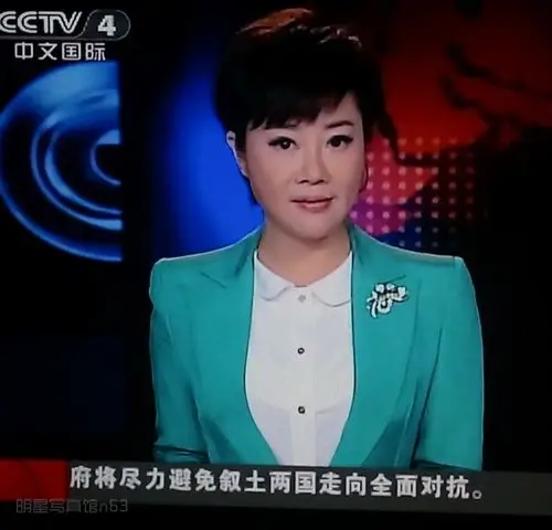 叶迎春写真图片-自制1920x2160壁纸.大图.截图-明星写真馆n63.com