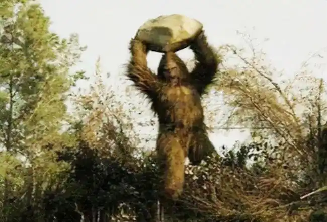 神农架野人再现,上百名考察人员围猎一年,找到野人寝宫|森林|自然保护