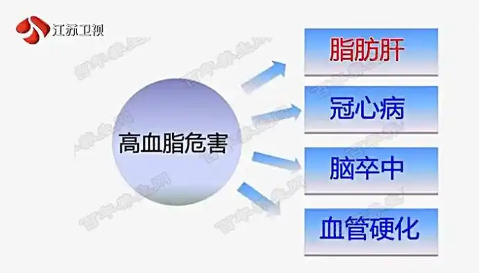 20161103万家灯火视频和笔记母义明胆固醇甘油三酯降血脂