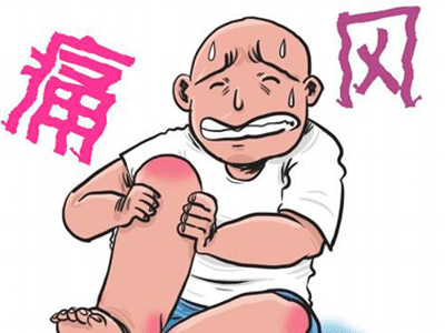 老人痛风可以吃的食物