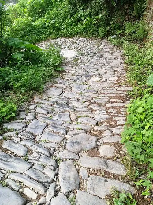 山西陵川双底村白陉古道及红豆杉大峡谷