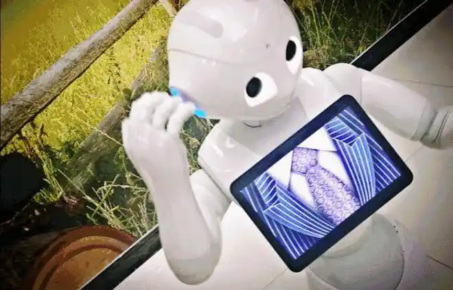 大连太原街上,机器人入侵餐厅_网易订阅