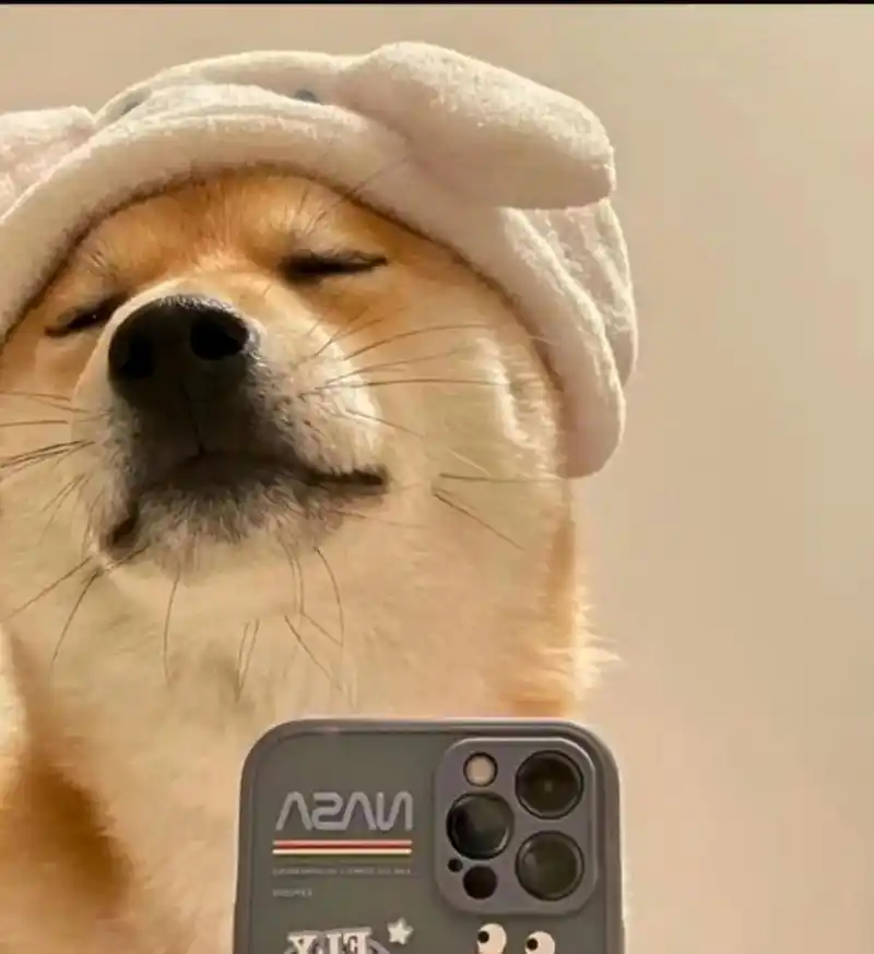 狗头沙雕头像 狗头沙雕头像