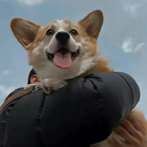 真人男生头像高清男头素质拿图