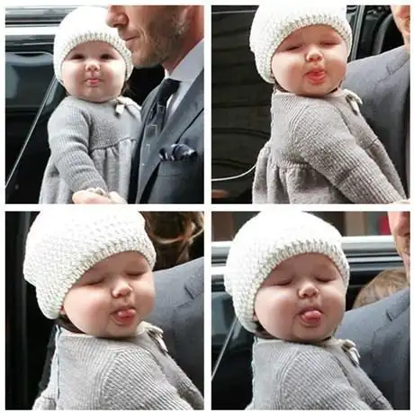 小七招牌萌照长大吐舌依然超可爱