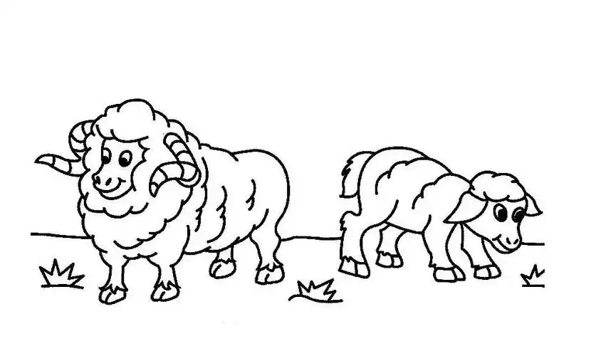 吃草的小羊儿童画图片_小羊儿童绘画图集