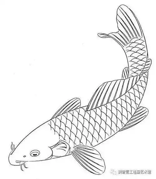 龚雪青工笔《鲤鱼百态》实用白描_组合_造型_象征