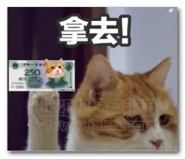 你的小可爱想要一点零花钱表情包完整版