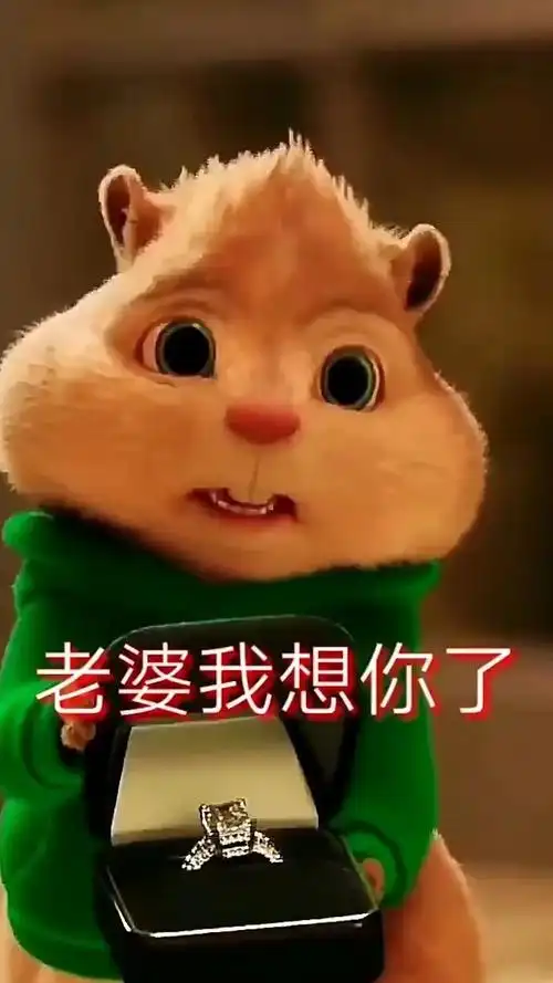 可爱鼠来宝老婆我想你了我们换个抱抱好不好