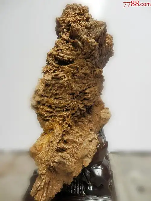 亿万年树木化石树化玉摆件天然原石硅化木奇石收藏木化石特价