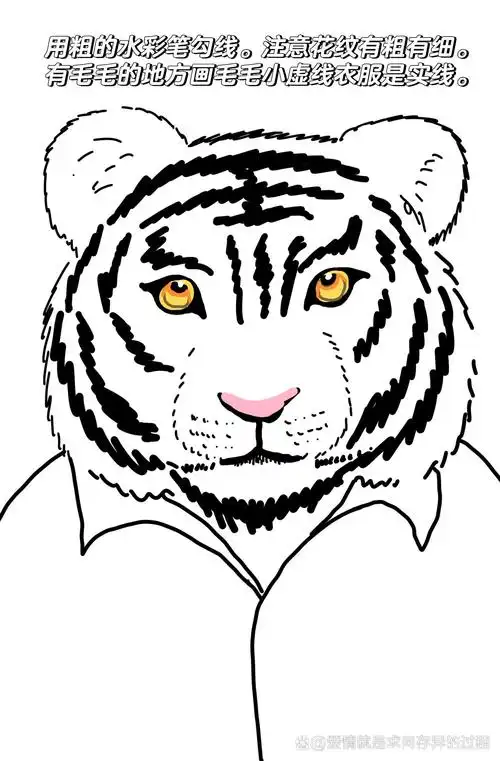 老虎怎么画  老虎作为自然界中的王者,其形象威猛而充满力量.