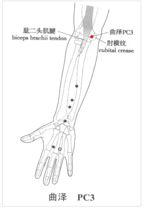 学经络——手厥阴心包经 - 好大夫在线