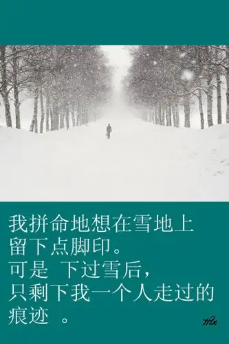 可是 下过雪后,只剩下我一个人走过的痕迹 . #壁纸·文字·心情