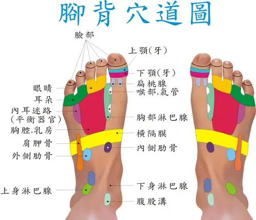 身心灵保健软体(健康养生开运)-bz