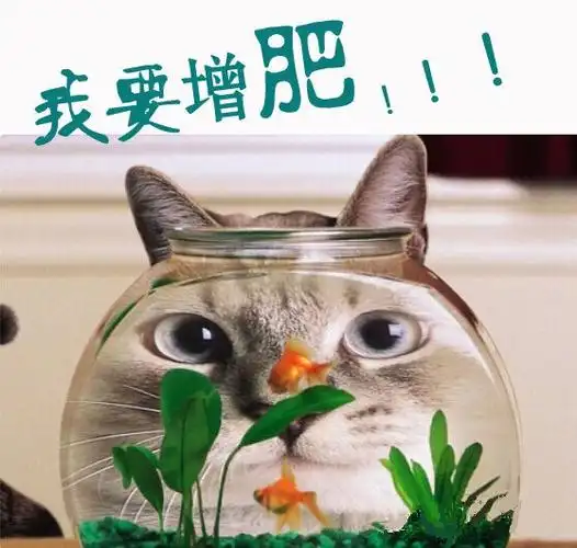 增肥方法:终结消瘦,瘦子该要如何增肥?