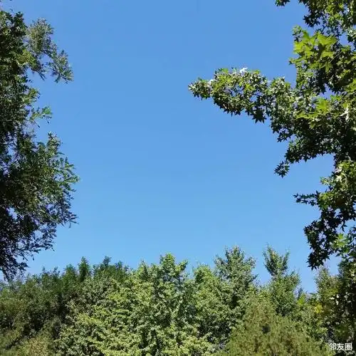 白云融化在蓝天里万里无云一览无际美爆了