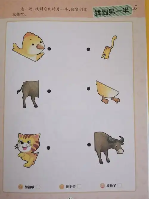 找到另一半: 连一连,找到它们的另一半,使它们变完整吧.