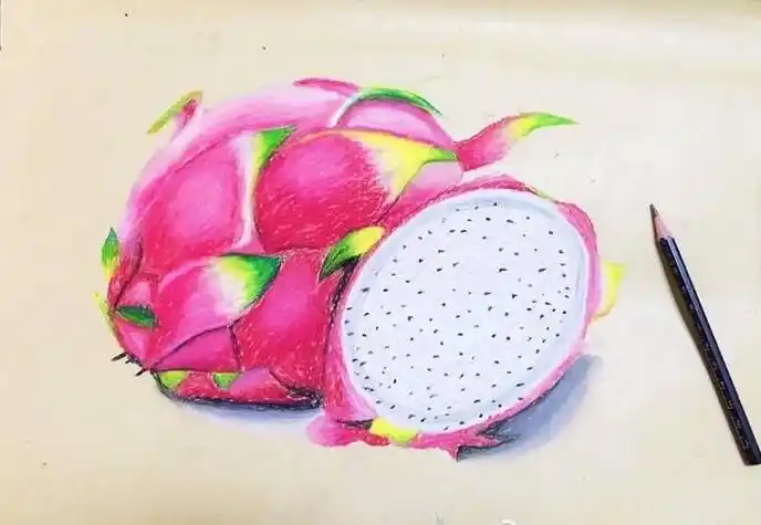 火龙果的简笔画 火龙果的简笔画怎么画