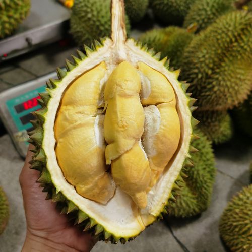 泰国青尼查曼尼榴莲新鲜肉黄味浓果肉细腻有回甘