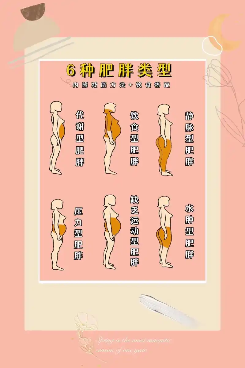 你知道肥胖有6种类型吗?你又属于什么型?你知道肥胖可以分6种 - 抖音