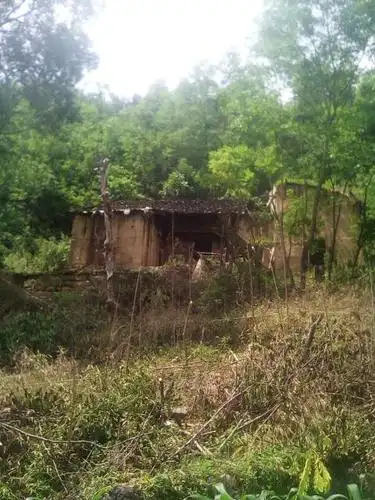 这样的房子,都没有扶,这叫扶贫吗,关系重要,所以真正的穷人没有扶
