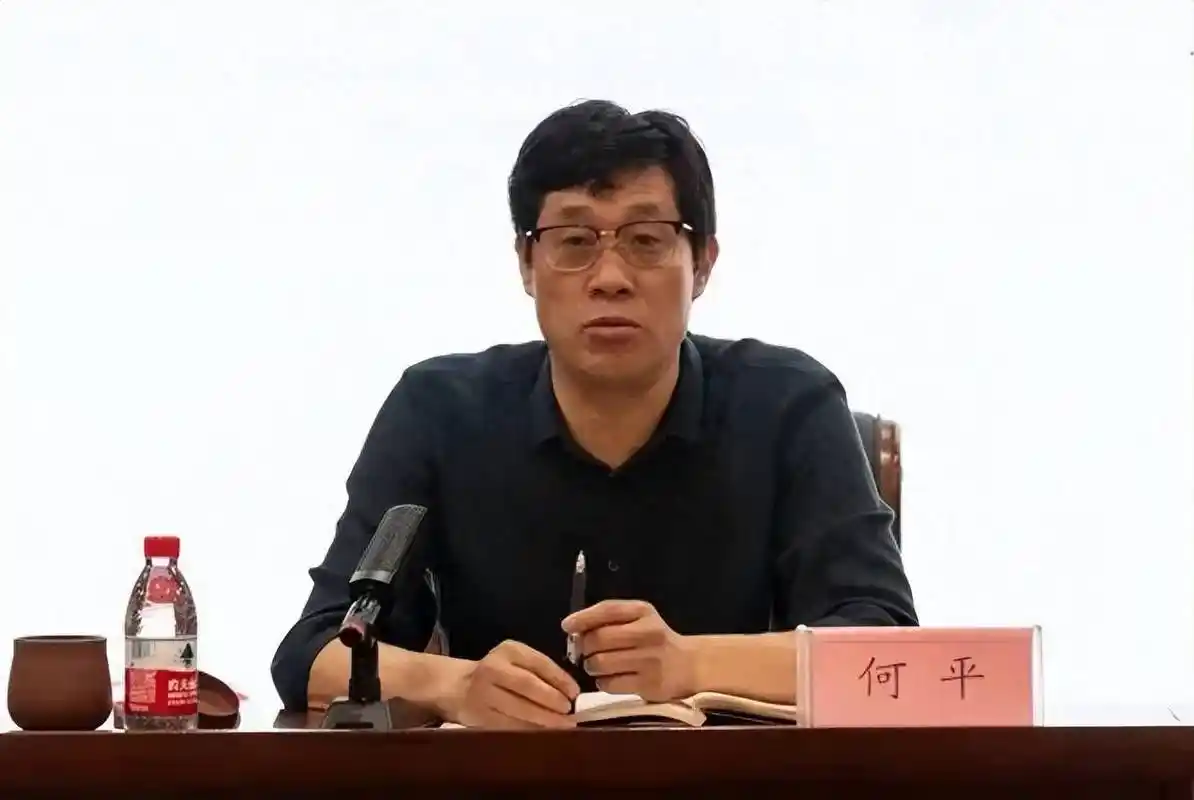 河南省第二人民医院党委书记何平,被查_工作_领域_医药