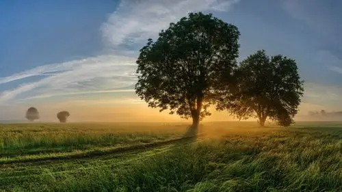 清新养眼自然美景桌面壁纸高清大图预览1920x1080_风景壁纸下载_美桌