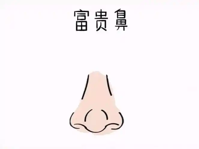 我要上热门 1,狮子鼻 狮子鼻指的是山根很低,而鼻梁比较细 - 抖音