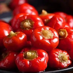 四川特产泡辣椒灯笼椒泡红圆海椒泡酸辣椒川菜泡椒牛蛙泡椒兔辅料