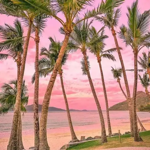 巴厘岛直飞1小时 印尼这一片粉色沙滩美炸了