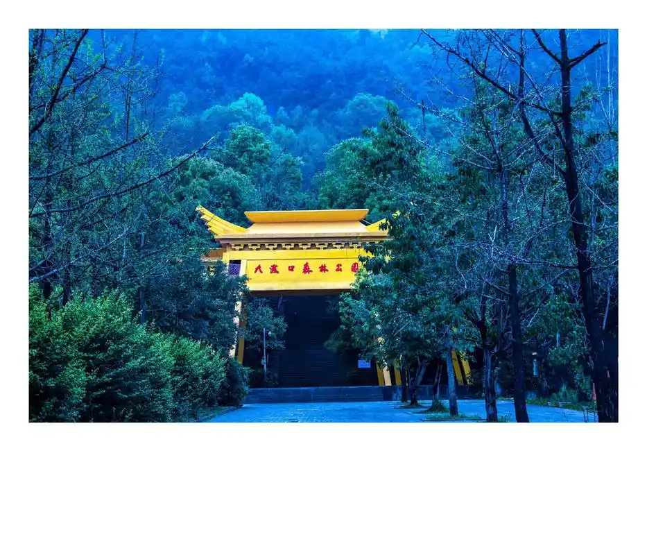 家乡美重庆大渡口森林公园随拍