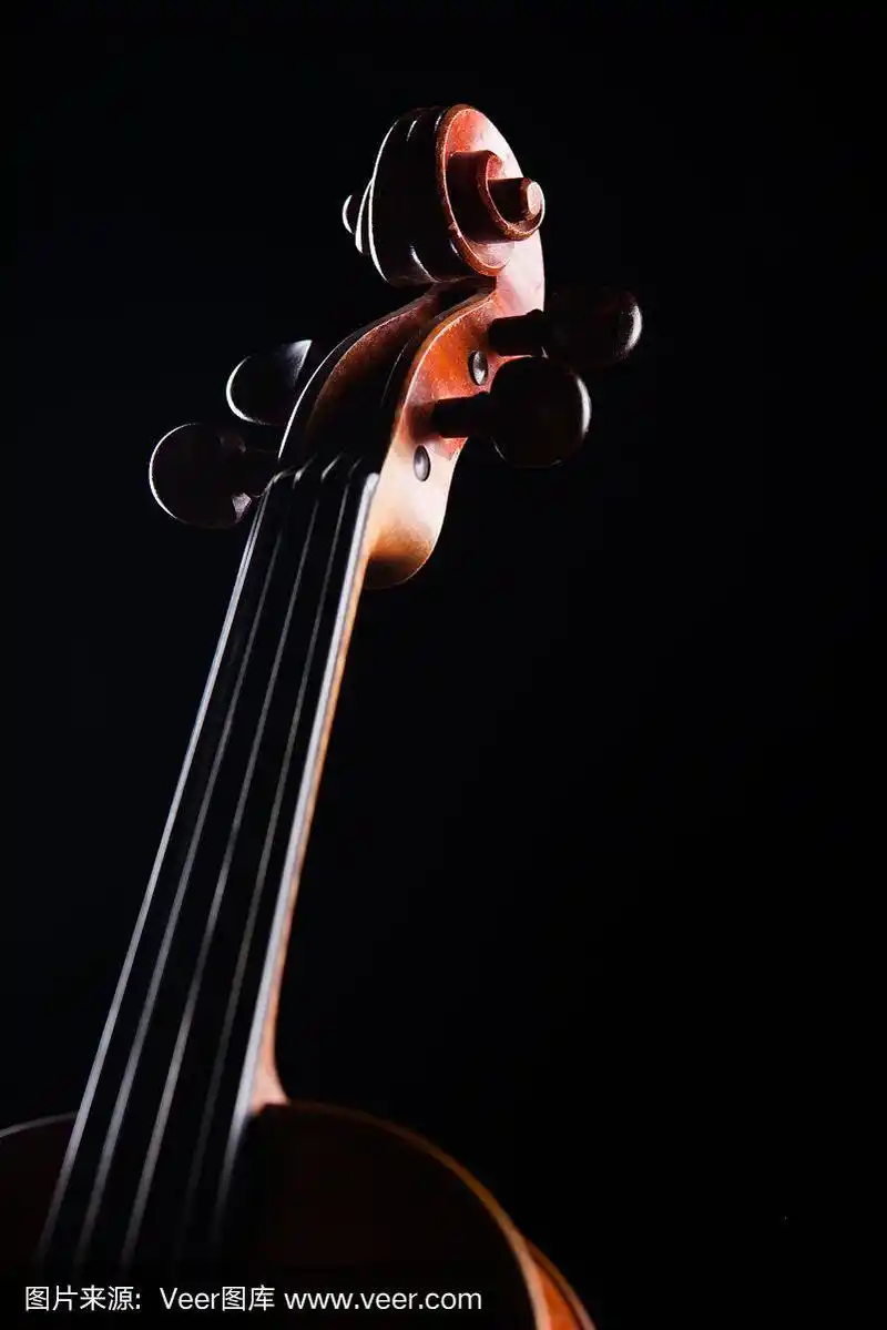 小提琴,特写,颈,黑色背景,管弦乐队