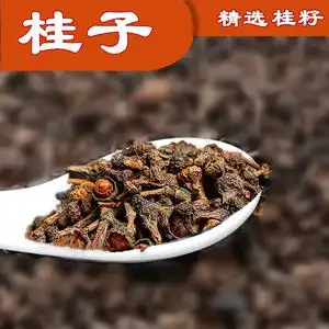 桂籽肉桂子 牛肉汤小桂子粉 肉桂桂花桂中中药材调料香料丹妹量发