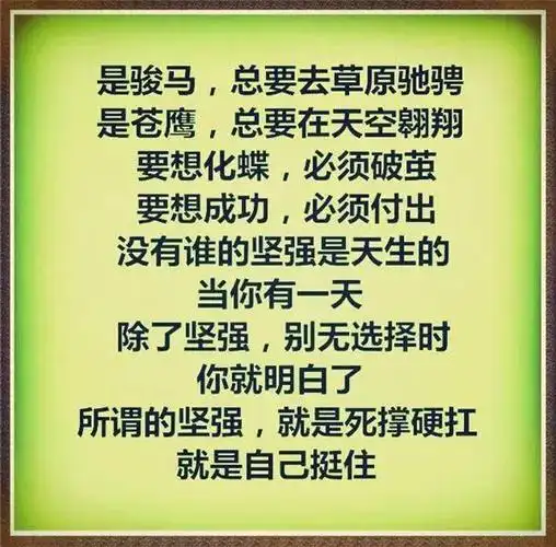 除了坚强别无选择