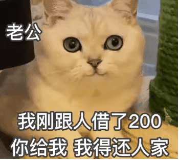 表情包:宝,快借我200,等下叫我老公还你