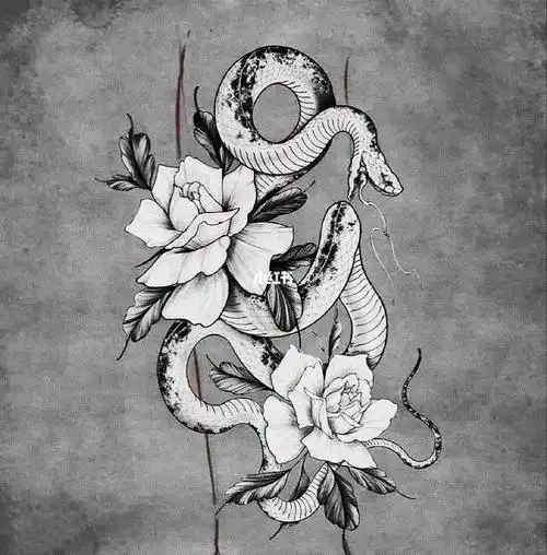 蛇纹身手稿|小腿纹身|花蛇纹身|素花蛇纹身