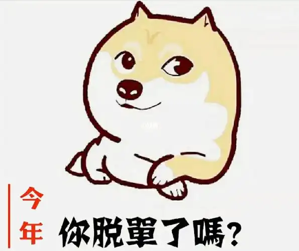 今年你脱单了吗