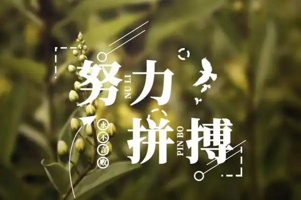 努力的图片努力到无能为力拼搏到感动自己