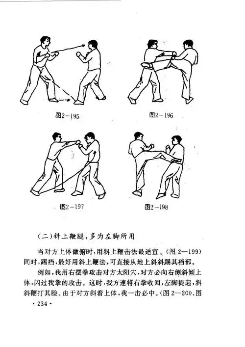 江湖打斗绝命腿--可怕的鞭腿(邵发明) - 武道研究 - 武道研究的博客