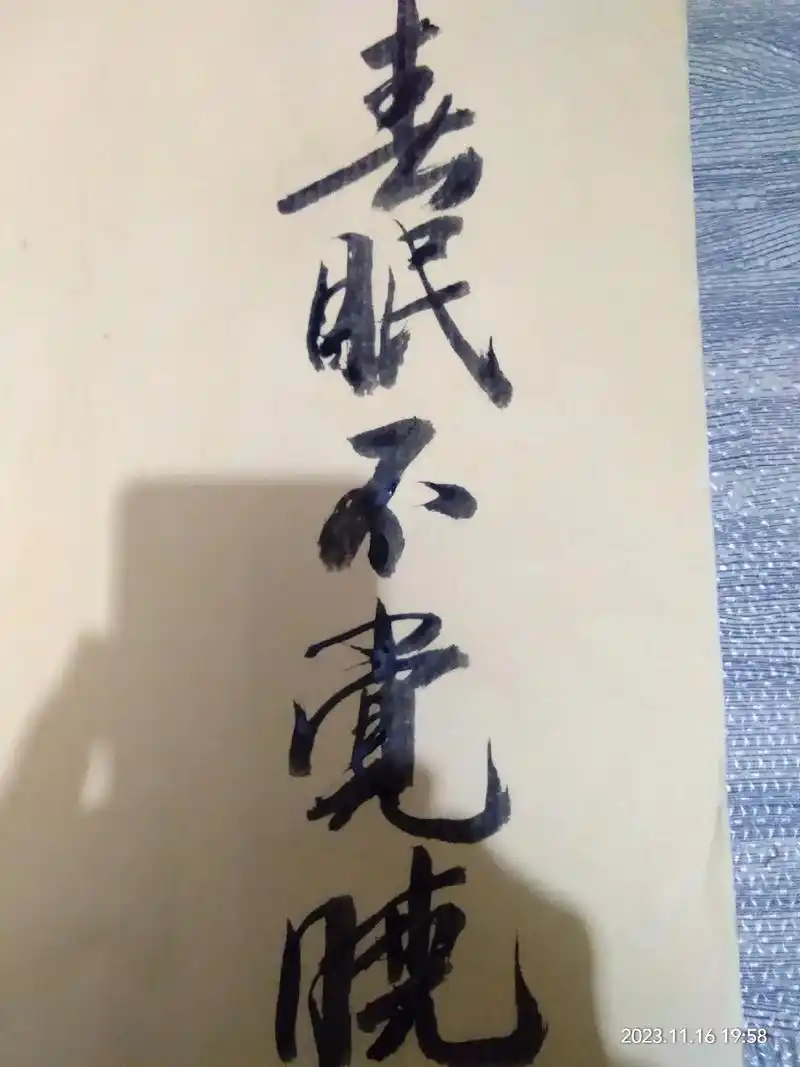 春眠不觉晓,处处闻啼鸟.夜来风雨声,花落知多少 - 抖音