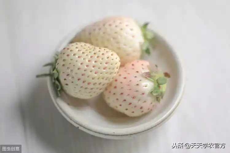 白草莓颜值逆天,价格也比普通草莓翻几番!其市场前景如何?
