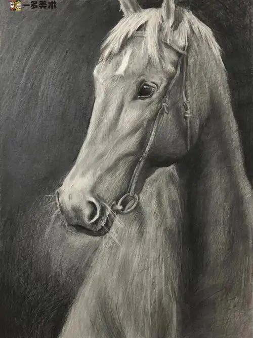 初一年级学员临摹作品